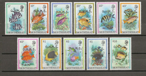 MONTSERRAT 1981 SG O42/52 MNH Cat £7.50