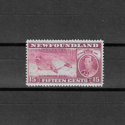 CANADA/NEWFOUNDLAND 1937 SG 263 MNH £21