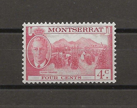 MONTSERRAT 1951 SG 126a MNH Cat £850